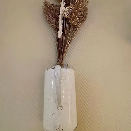 Nuit Paisible Au Col De Neronne * Le Falgoux