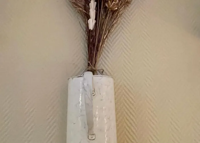 Nuit Paisible Au Col De Neronne * Le Falgoux