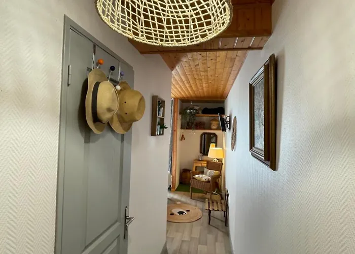 Nuit Paisible Au Col De Neronne * Le Falgoux